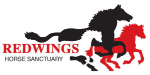 Redwings Logo